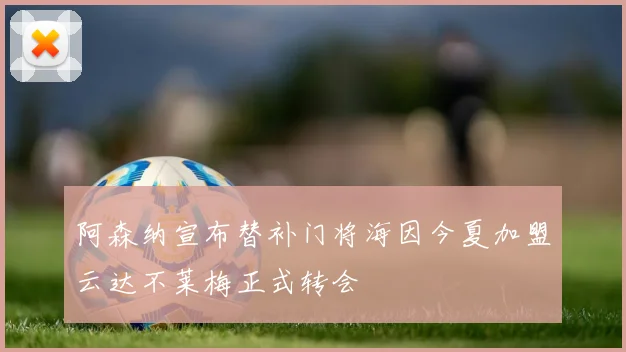 阿森纳宣布替补门将海因今夏加盟云达不莱梅正式转会
